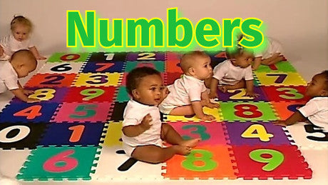 Baby's First Impressions Encyclopedia Set of 10 DVDs | Kids Videos
