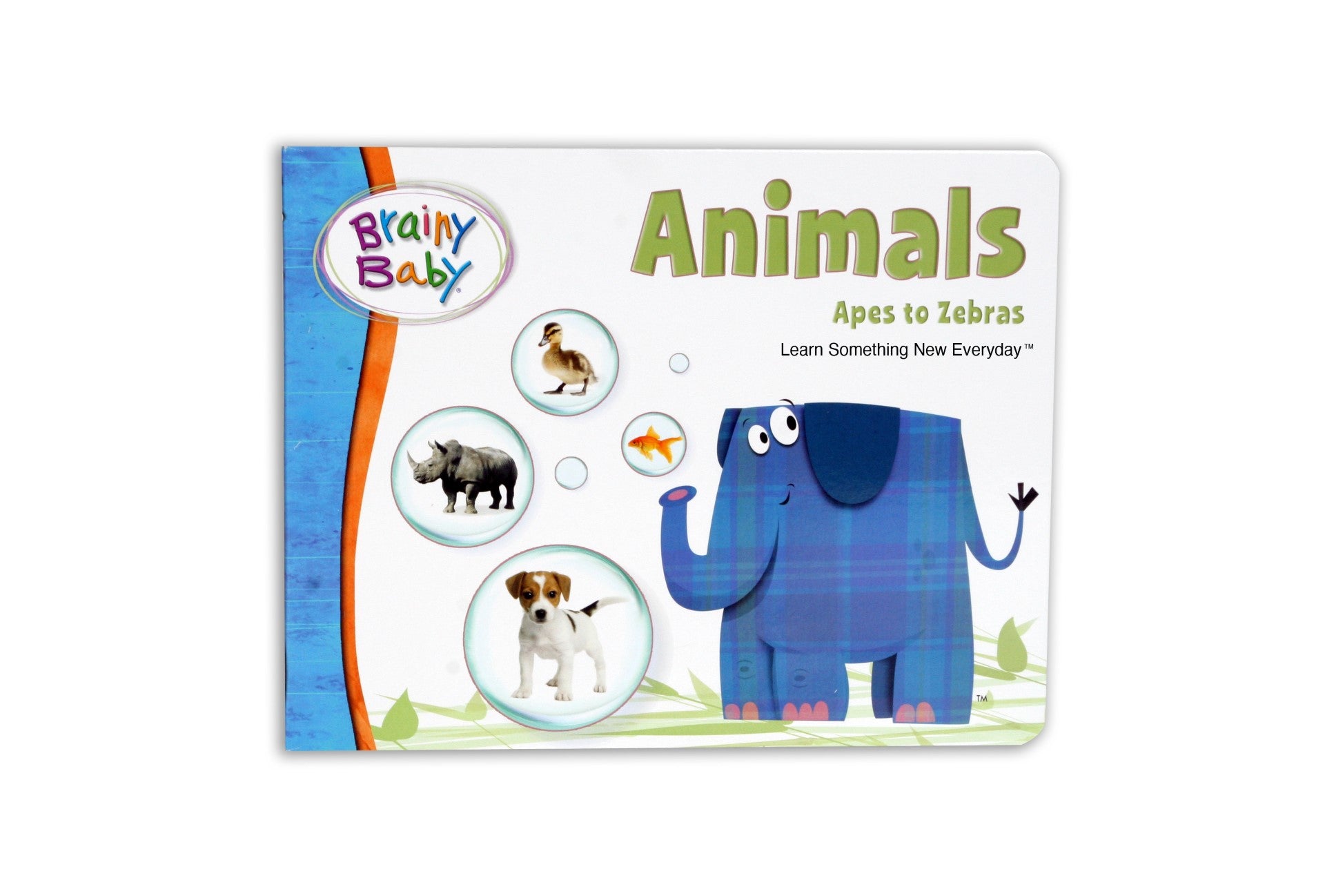 Brainy Rabbit Animals Reading