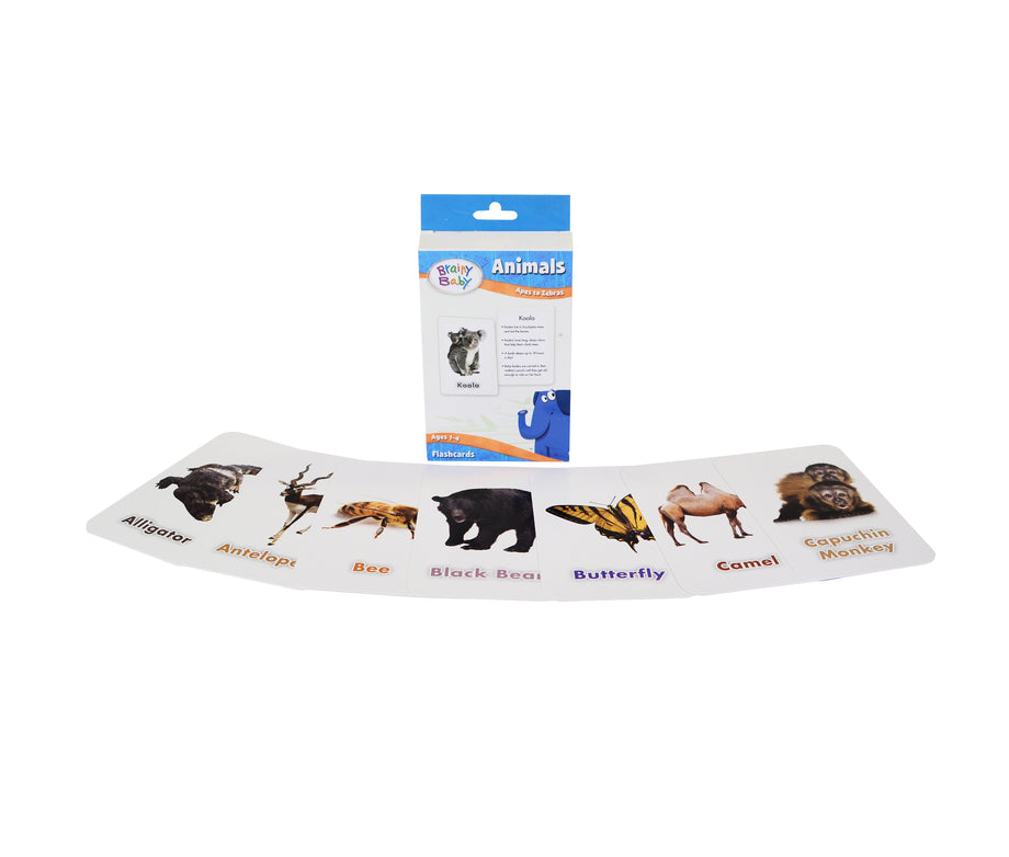 Cartes Flash Animaux Bébé - Baby Animals Ring Flash Cards Mudpuppy Cartes Double Face Animaux Cartes Flash Animaux Bébé - Baby Animals Ring Flash Cards Mudpuppy Cartes Double Face Animaux