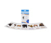 Animals Flashcards Set | Flashcards 
