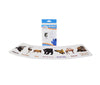 Animals Book,Flashcards | Dvds Collections