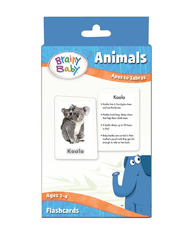Animals Flashcards Set | Flashcards 