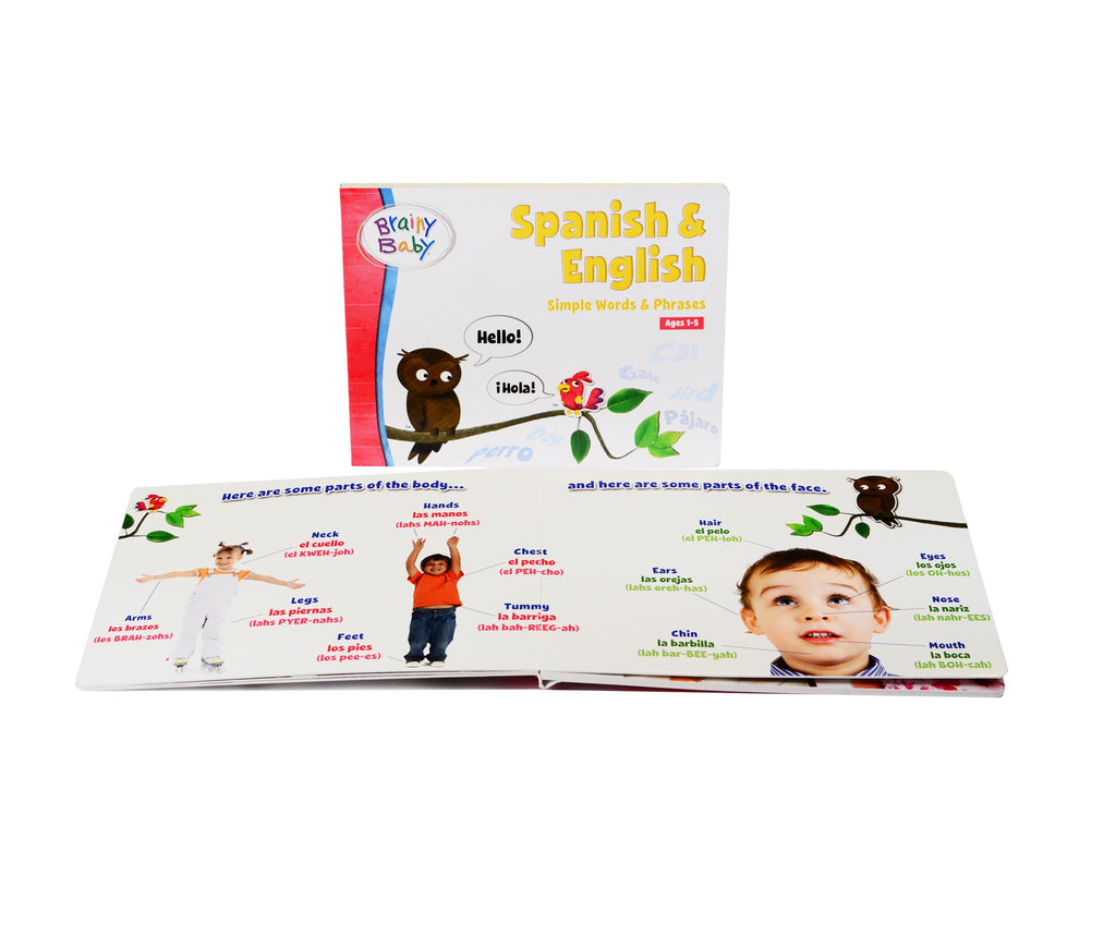 Brainy Baby Spanish and English Simple Words and Phrases Board Book | Preschool Learning | Learning Books Collection 
